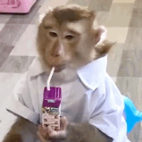 S1��ĩ���r�g߀�������{����ĩ��܇�Y��̫����