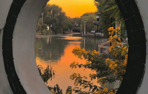 �S����ʽ֮�����������MԊ�������