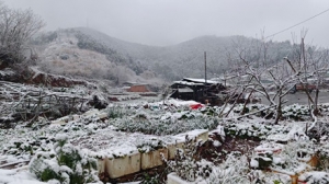 �W�ѷ�������˲�g��2024���d¡��ѩ�����箋