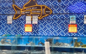 Ԓ�����f�����o�a���еăr�񣬴���X����ô��