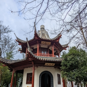 �S���ģ�����ͣͣ�����TҊϲ��