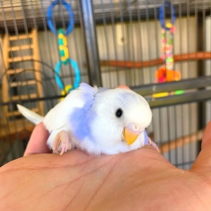 �W(w��ng)�ѷ�����Խ��Խϲ�g�����ǿɐ۵���Û��