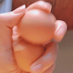 ����Ъ��^���w���\������Ĳ�զ��