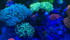 СС��һ�ں������s��һ������