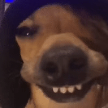 �����������܇վ��d�ğ��_��ϡ���䣬��Ʊ��Ҳֻ��һ����