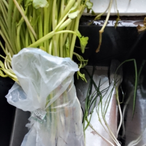 ��������ȥ�I��һ��ˮ��15��һ�l����~37���ゃ�X���F����