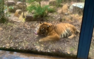 �򿨼tɽ���^�����ܵ����������°�Ŀ옷