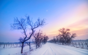 ������������Ոע�ⰲȫ