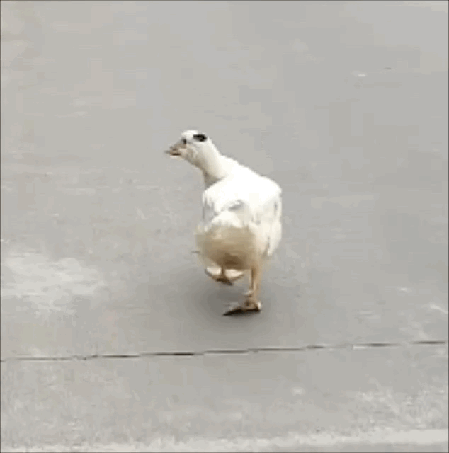 S1������tԺվ�`���˺ܶ������Ԟ���ȥ�������tԺ