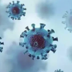 ����ͨ������򌢻�����