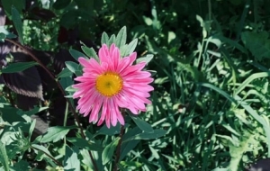 �S���ģ����㿴��ͬ����`�ŵ�����˲�g