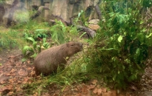 �򿨄������������ɐ۱���