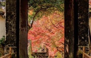 �p�@��������������ʽ����