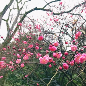 ���봺�\�������򿨺���÷��