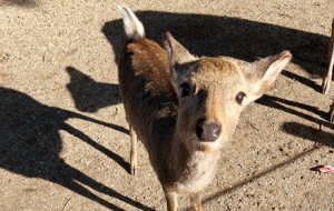 ף�������������ǰ�̖T�T������䲜䲜���I�D�D~