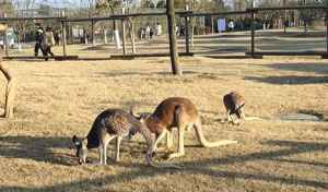 ����@߀ͦ�������������Ǵ���Ȼ���o��Č�ؐ