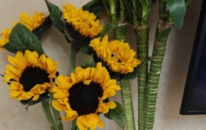 ��񻨻�������ȥ���B�Ј�(ch��ng)�I����Ҫ�X��