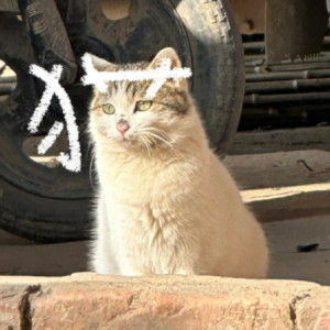 �W(w��ng)�ѷ������옷���R��Ո(q��ng)��Щ�����ǡ����ұ���