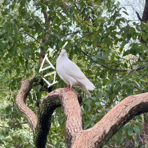 ����СȤ���И����Σ������Ĳ�Ҫ��