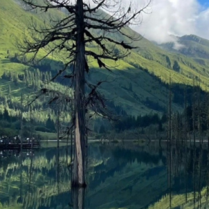 ����СȤ�����ɺͿ옷(l��)��(y��ng)ԓ�����h(yu��n)��픣�