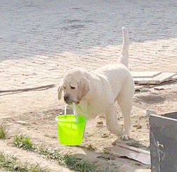 �����С��һ���ƾ����^ײ���ǲ��������в�