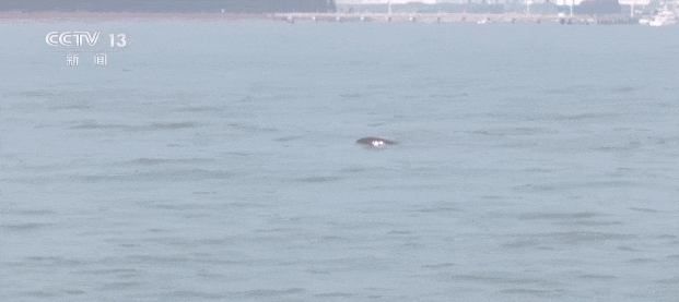 10���^����F���L����ꎶΣ�