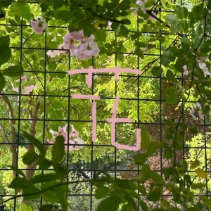 ����ӡӛ������ƴ���ճ������h����