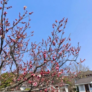 �S�ģ�����ȥ�o�a�����[���w�һ��ǰ���N��