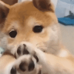 ��������Ě�Ϣ�ѽ���u��񣬬F���@�������ʲô����