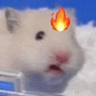 �²ۣ�����܇ͣ�\��ʲô����վ�_�����֪ͨ��׌���ں��L������ֵ�