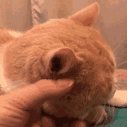 ���ӼҵĹ������Ҽ��T�ڴ�С�㣡��ͨ��ζ��]����ô�k��