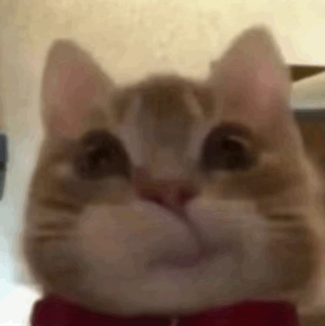 ���ۣ�늄�����܇���̥����ͽ����]����