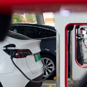 �������Ҽ��܇�_���껨���X�����_�M�������ف�����