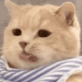 ̫�����ˣ��󋌴󠔂�����20�����M�u�������������Ҫô�M��ȥҪô������