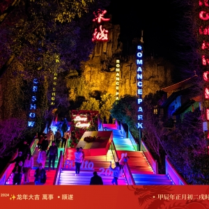 �������L�������R�^������