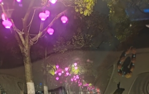 ��Ԓ�f��t���\�߸ߒ죡�@���Ă��˲��x���ɫ��