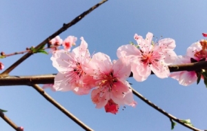 �S���ģ���֮زز���������A