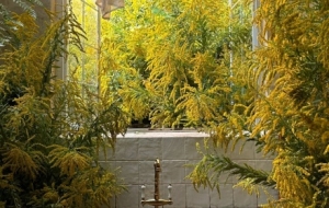 �pһ����������D��ץס������β��