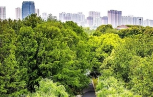 ���򿨣���ꎵ��紺��