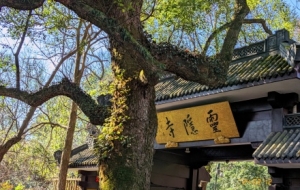 �κ����`�[�£������[�[�Ę�ľ�G�ⰻȻ