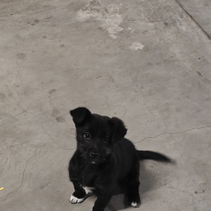 ��������������˹��Ļ��أ�������