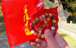 ���`�[�£��������ʮ�����ִ���Ҳ������