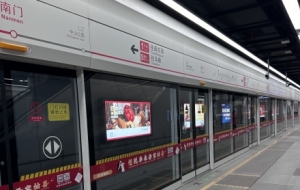 S1�������F1̖���������{����