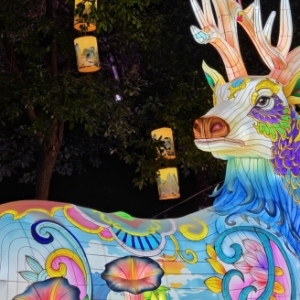 ʮ���ػ����δ������������p����