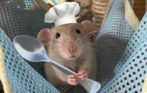 �W(w��ng)�ѷ�������գ�ÿ�����ڻ�����!