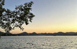 ���������º��ݣ������L�����箋