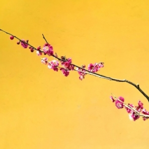 һ֦�������@�����첻Ҫ�e�^�t÷�`��