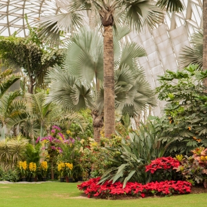 ��ɽ��ֲ��@�_���D�����ǰlչ��Խ��Խ���ˣ��Ͳ�W�t�˚��Ŀ��