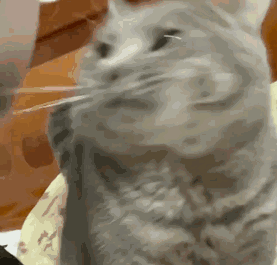 ���tԺ������ô������꠿�������ô��һ���t����һ���oʿ