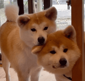 �f�_����2̖�T���_�����·�С�Ąe���_��